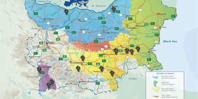 Карта домаћи вино